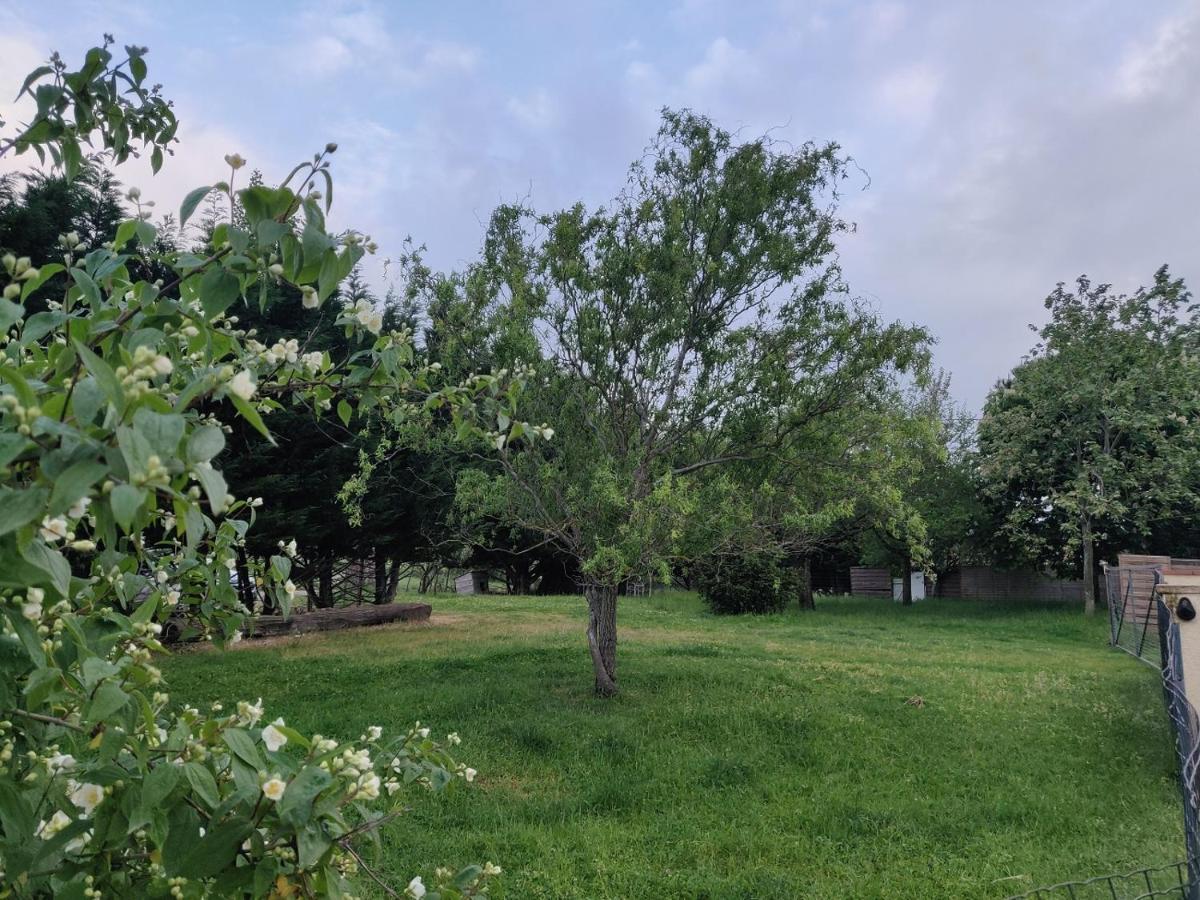 Le Gite Nature Bien-Etre Piscine Chauffee Privee Du Tarn Entre Toulouse Et Albi & Les Cottages Du Tarn Peyrole 외부 사진