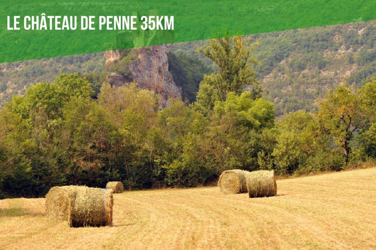 Le Gite Nature Bien-Etre Piscine Chauffee Privee Du Tarn Entre Toulouse Et Albi & Les Cottages Du Tarn Peyrole 외부 사진