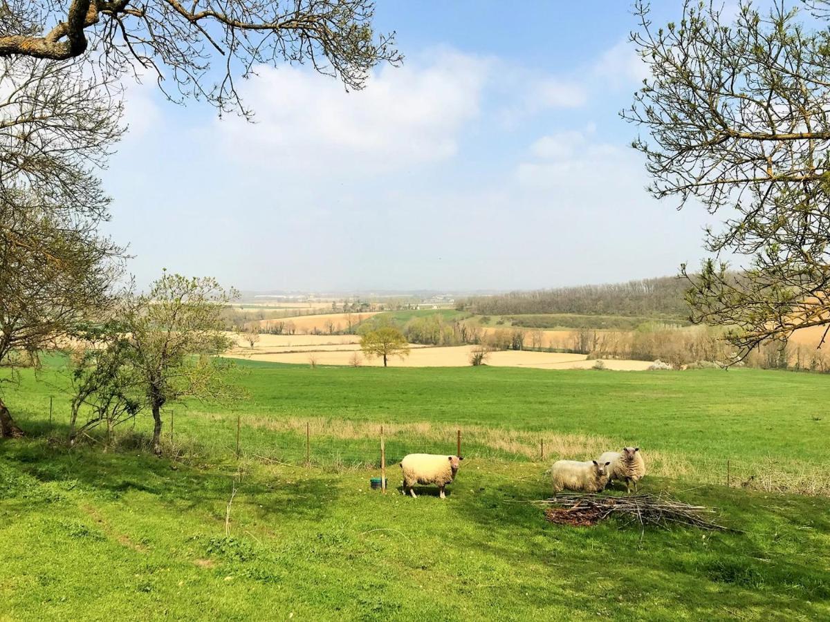 Le Gite Nature Bien-Etre Piscine Chauffee Privee Du Tarn Entre Toulouse Et Albi & Les Cottages Du Tarn Peyrole 외부 사진