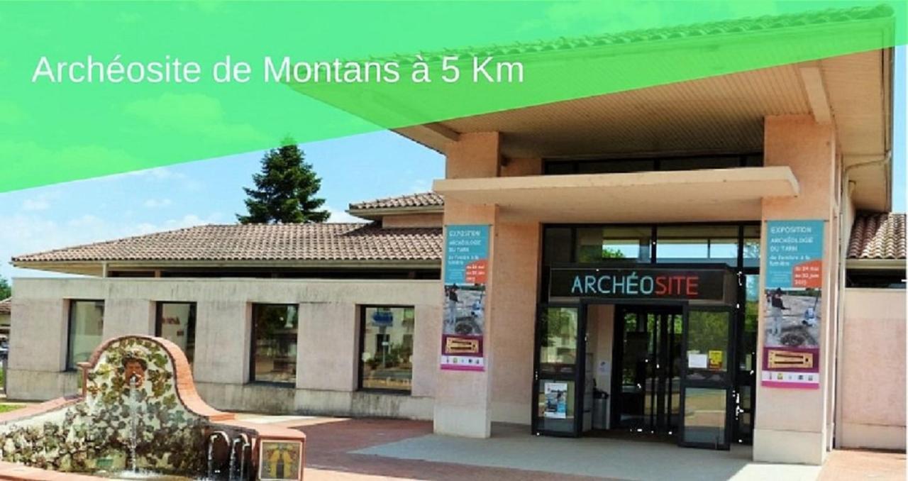 Le Gite Nature Bien-Etre Piscine Chauffee Privee Du Tarn Entre Toulouse Et Albi & Les Cottages Du Tarn Peyrole 외부 사진